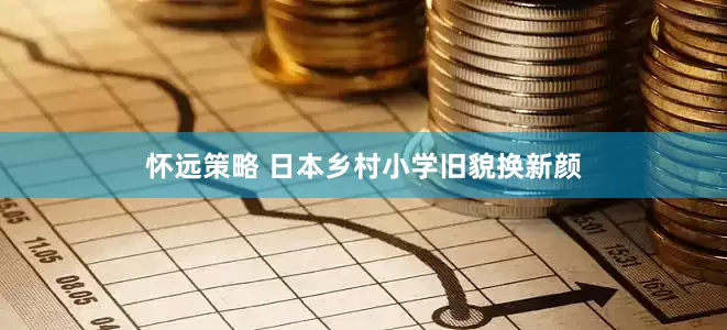 怀远策略 日本乡村小学旧貌换新颜