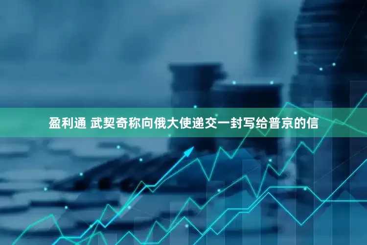 盈利通 武契奇称向俄大使递交一封写给普京的信